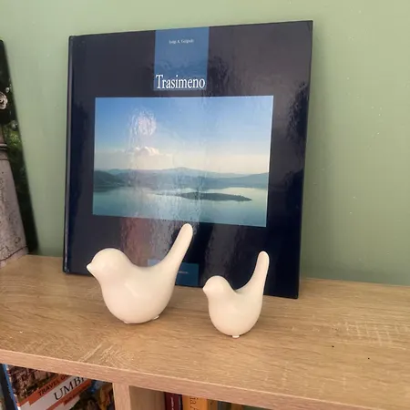 Nido Sul Trasimeno * San Feliciano